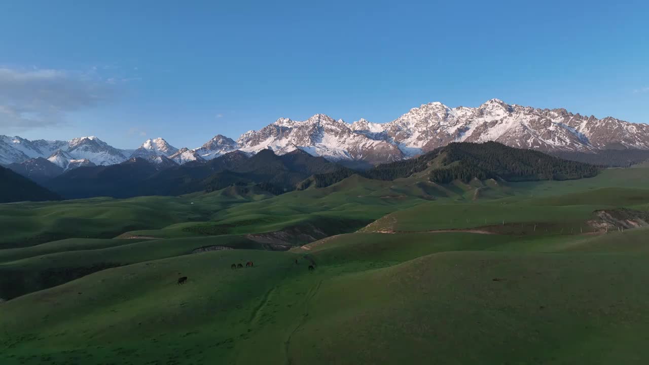 新疆101公路 鹿角湾雪山牧场视频素材