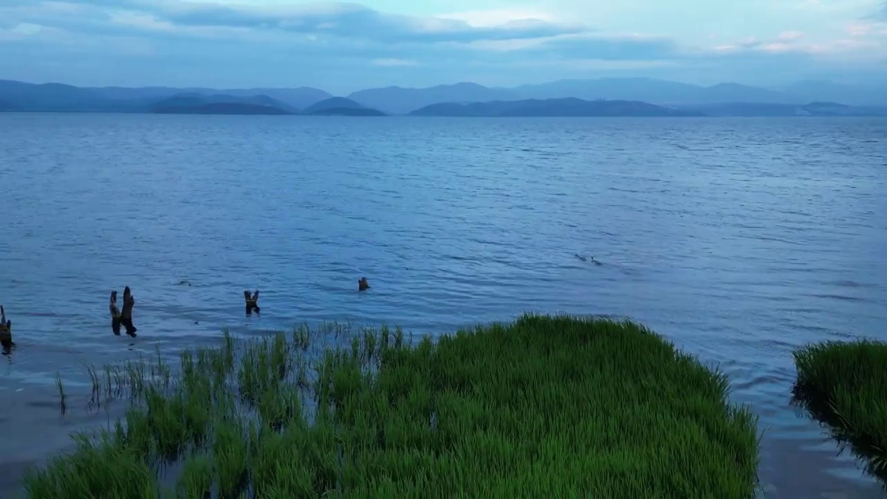 洱海傍晚航拍海岸线视频素材