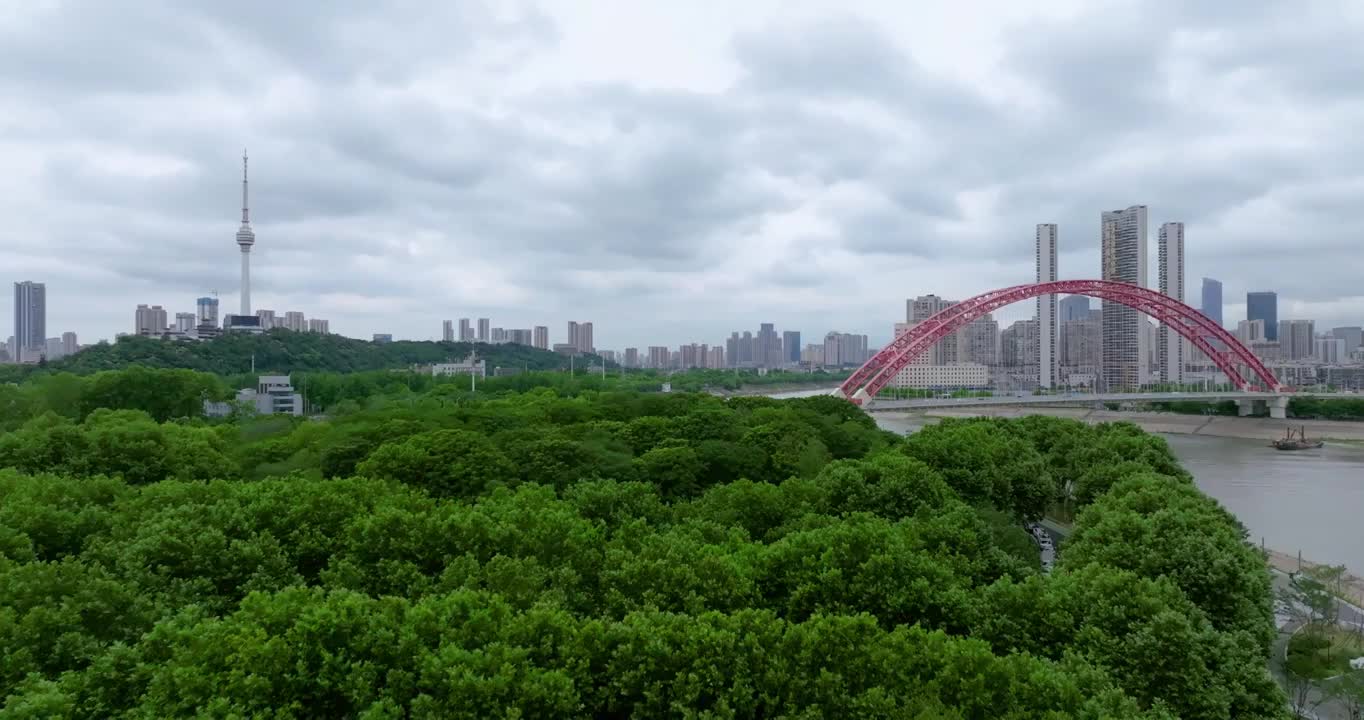 武汉夏日城市地标天际线风光视频素材