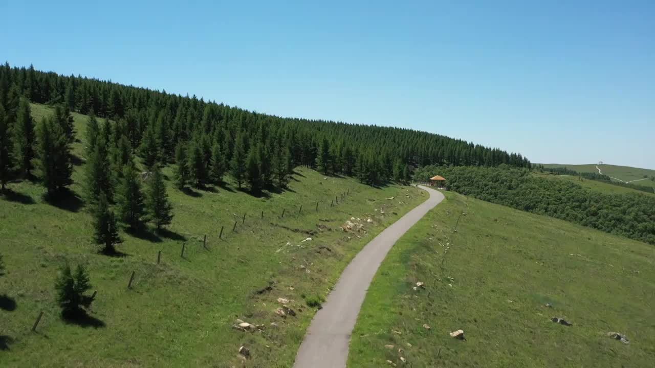 内蒙古呼和浩特大青山敕勒川高山草原人工防风林松树林视频素材