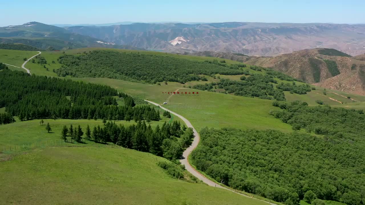 内蒙古呼和浩特大青山敕勒川高山草原人工防风林大片松树林松叶林野生桦树林高山草原高山草甸视频素材