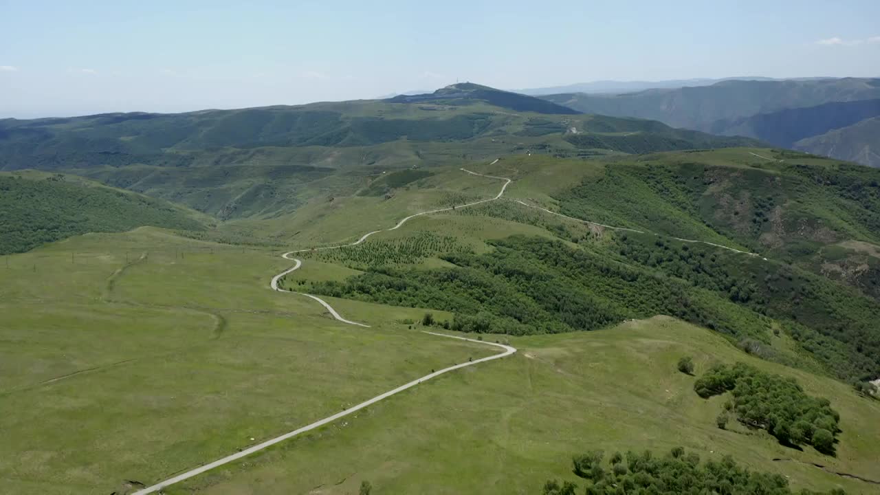 内蒙古呼和浩特大青山敕勒川高山草原人工防风林大片松树林松叶林野生桦树林高山草原高山草甸视频素材