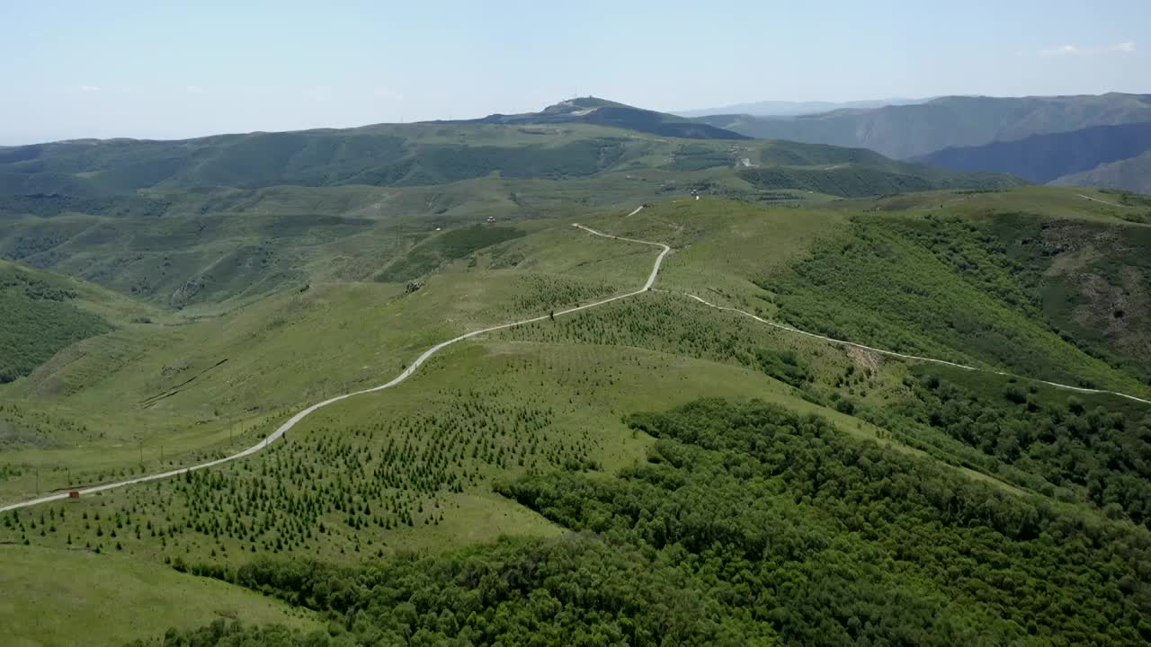 内蒙古呼和浩特大青山敕勒川高山草原人工防风林大片松树林松叶林野生桦树林高山草原高山草甸视频素材