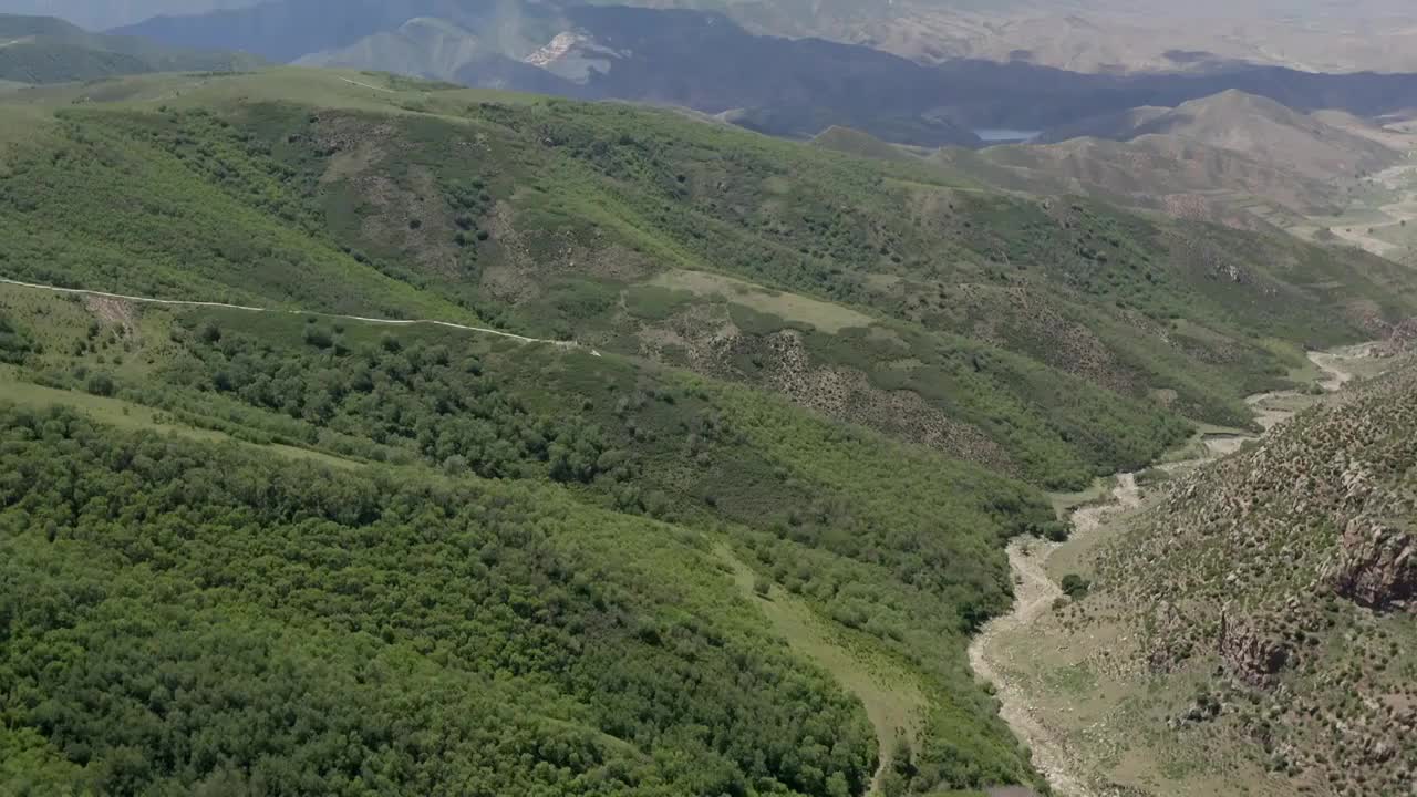 内蒙古呼和浩特大青山敕勒川高山草原人工防风林大片松树林松叶林野生桦树林高山草原高山草甸视频素材