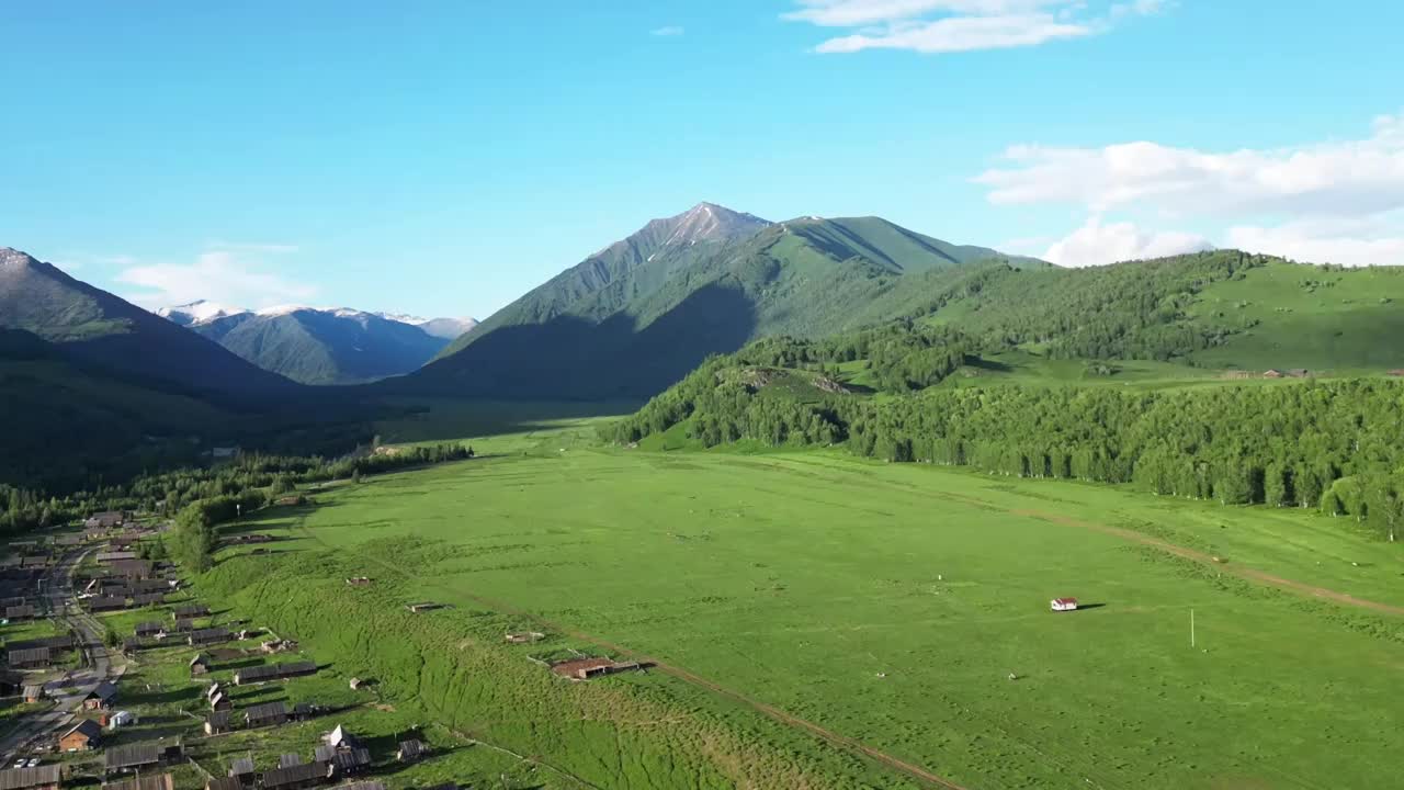 雨后山林视频下载