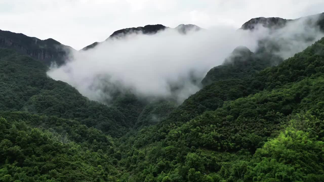 雨后山林视频素材