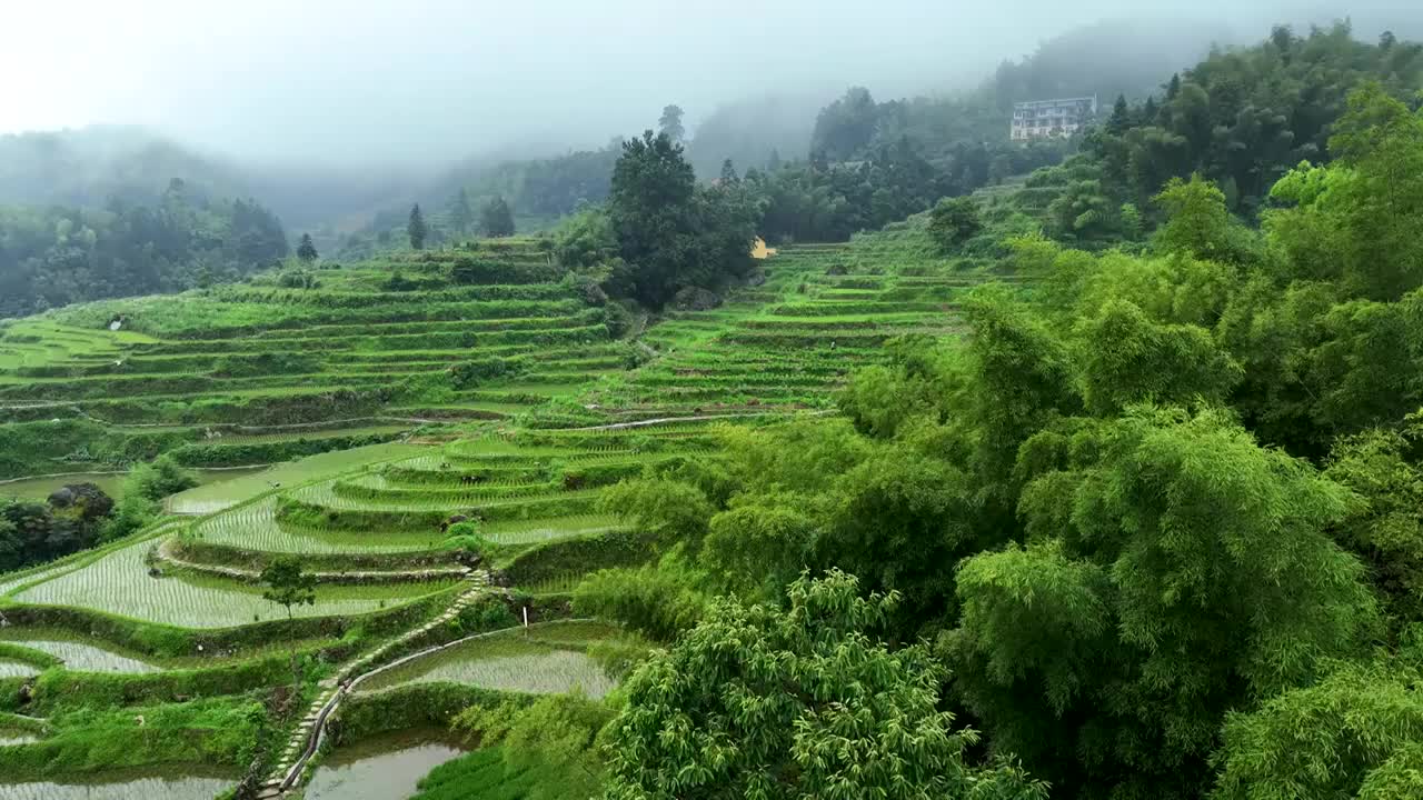 航拍浙江丽水农业旅游农田云和梯田视频素材