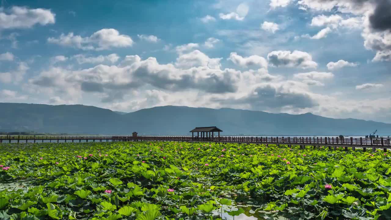 云南省红河州石屏县异龙湖延时视频素材