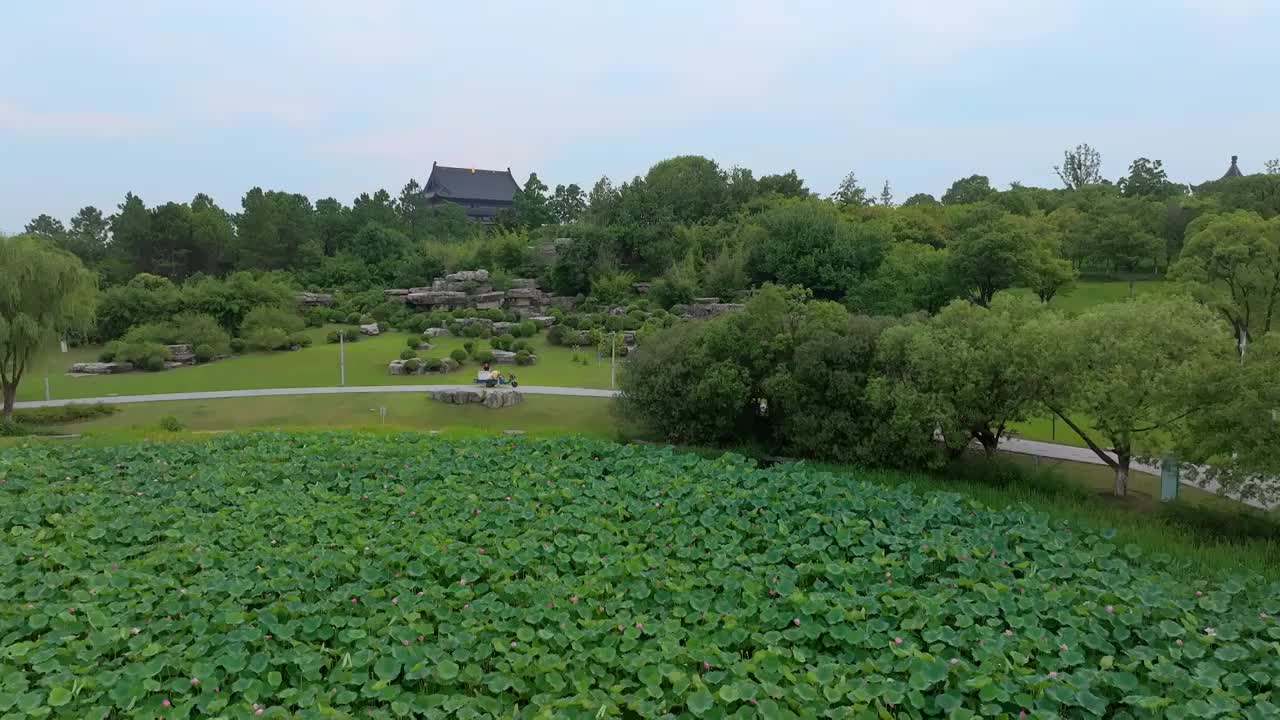 苏州园区阳澄湖半岛重元寺与莲池湖公园视频素材