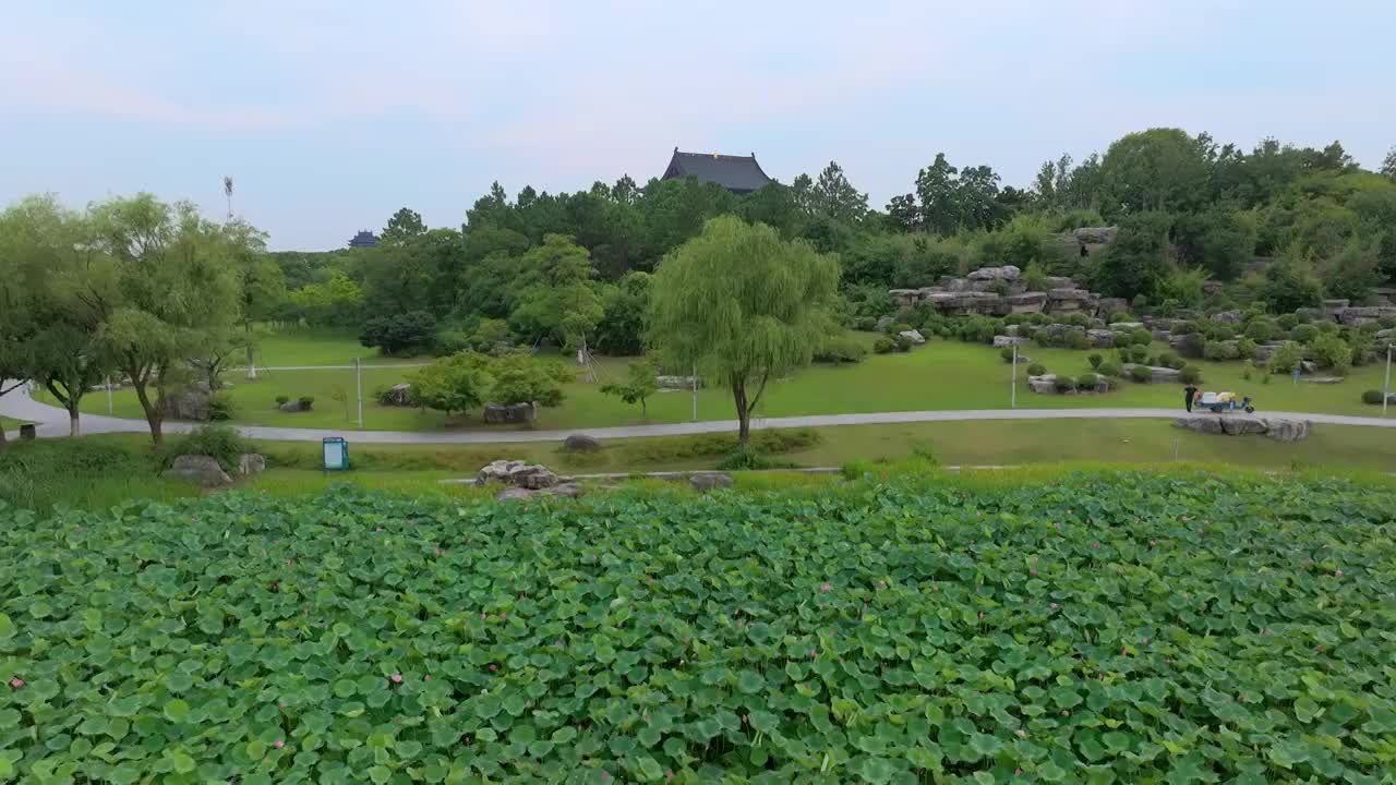 苏州园区阳澄湖半岛重元寺与莲池湖公园视频素材