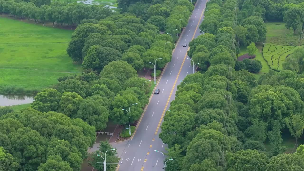 苏州园区阳澄湖半岛重元寺与莲池湖公园视频素材