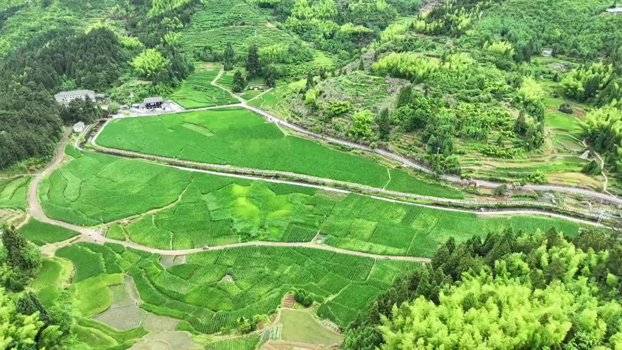 航拍浙江丽水旅游云中大漈景区农业田园风景视频素材