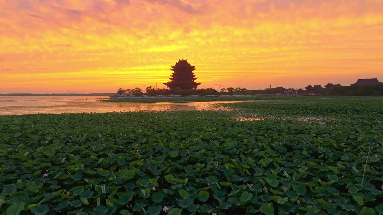 苏州园区阳澄湖半岛重元寺日落晚霞风景视频素材