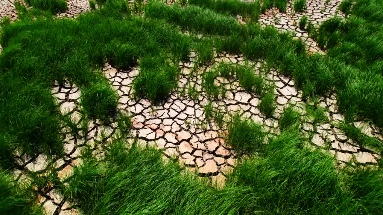 鄱阳湖干涸的河床开裂的土地视频素材