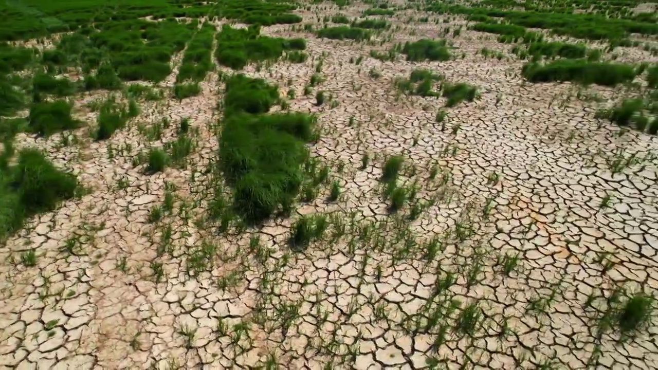 鄱阳湖干涸的河床开裂的土地视频素材