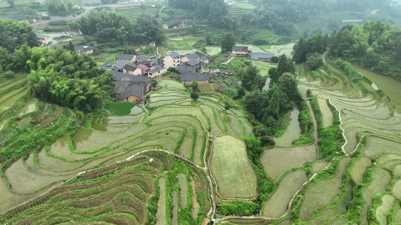 航拍浙江丽水农业旅游云和梯田田园风光视频素材