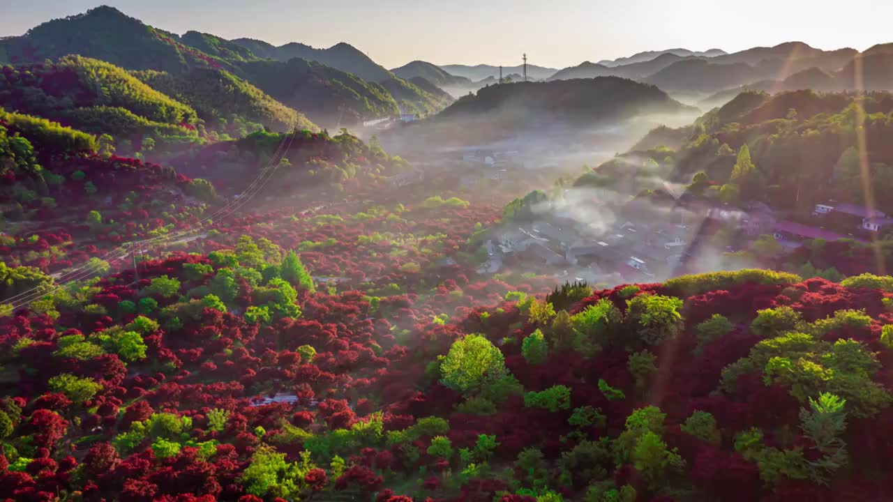 四明山红枫日出云雾视频素材