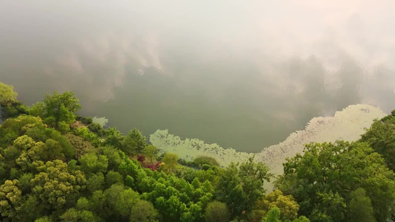 自然风景湖泊视频素材