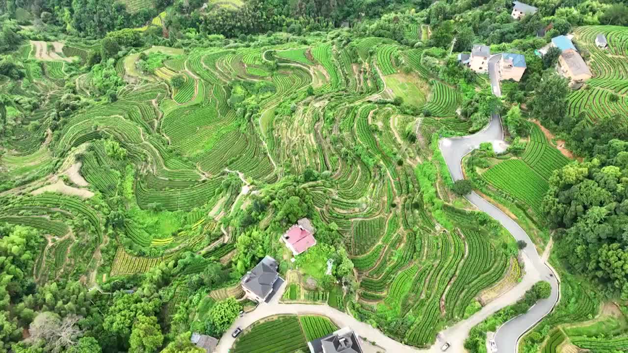 航拍浙江丽水旅游农业梯田田园风景视频素材