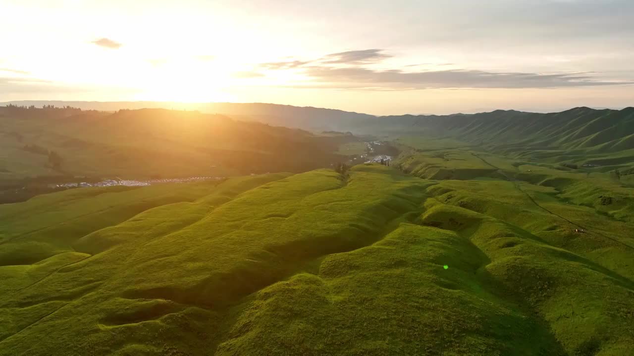 新疆伊犁 恰西草原 自然风光 旅行 马群视频素材