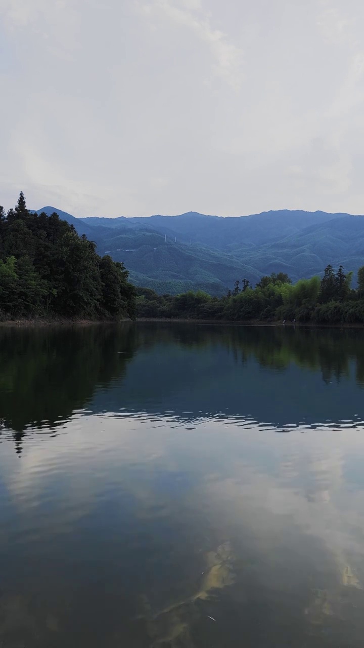 黄山一处湖面自然风光竖屏视频素材