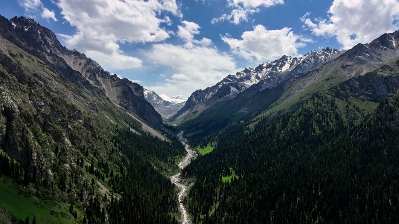 昭苏夏塔景区木札特峰 草原林场雪山冰川视频素材