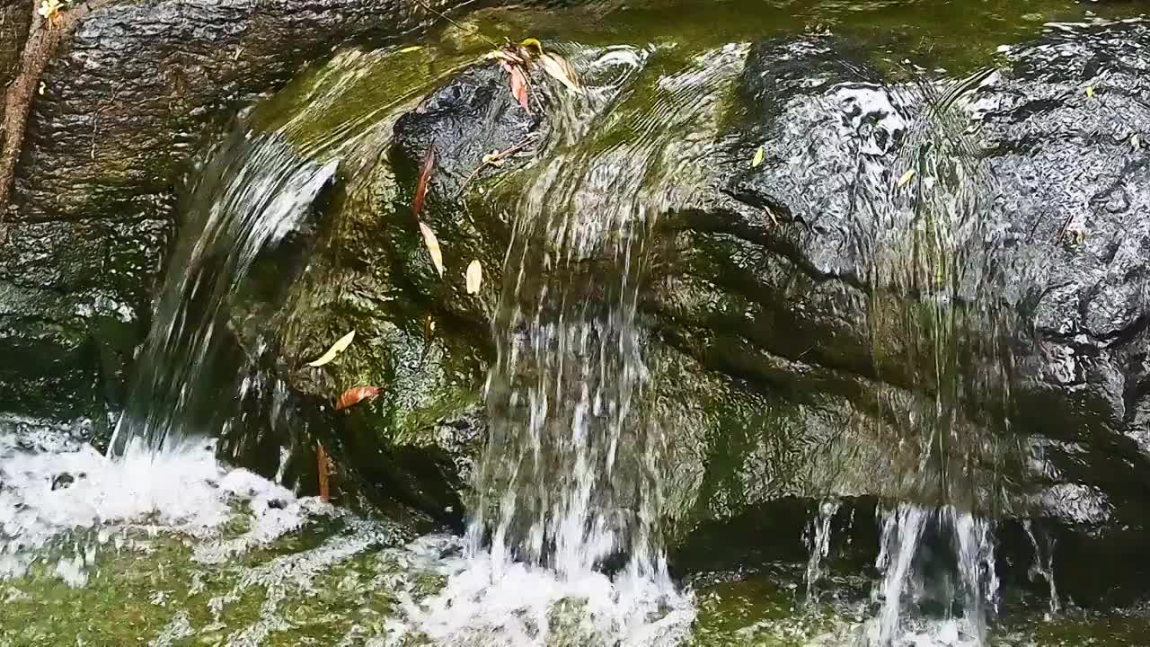 小溪流水小瀑布飞溅水花视频素材