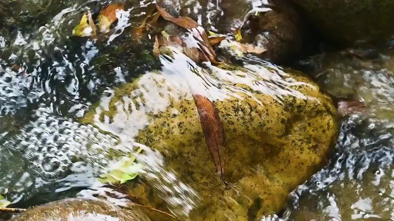 小溪流水小瀑布飞溅水花视频素材