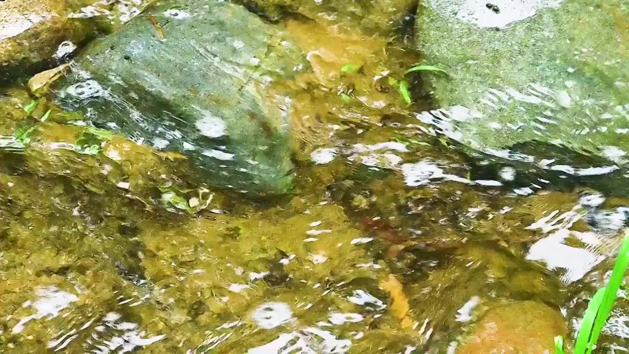 小溪流水小瀑布飞溅水花视频素材