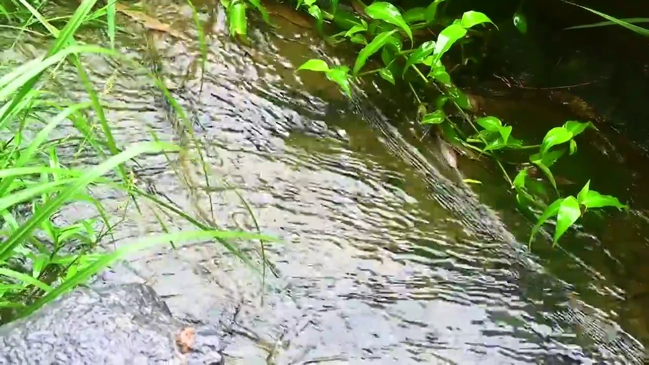 小溪流水小瀑布飞溅水花视频素材