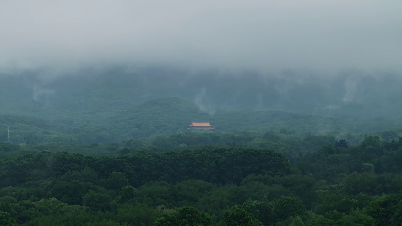 郁郁葱葱云雾缭绕的南京紫金山视频素材