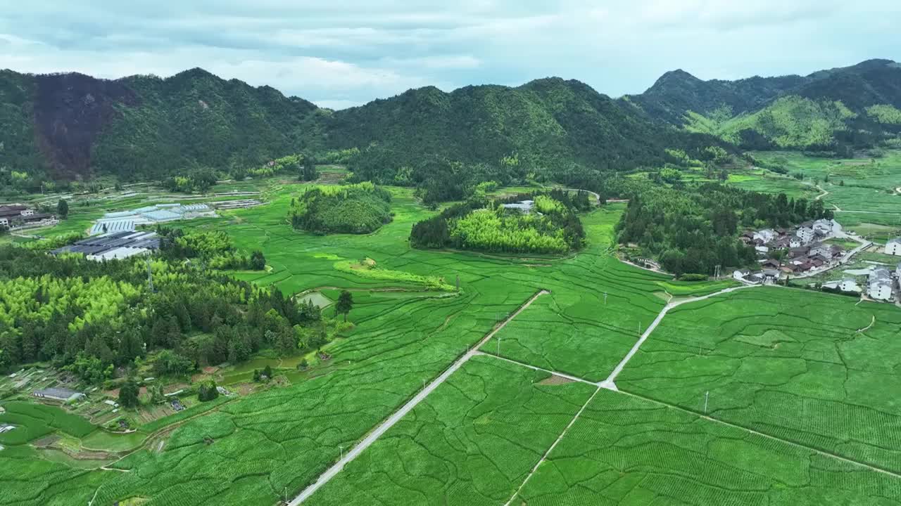 航拍浙江丽水旅游云中大漈农田乡村田园风光视频素材