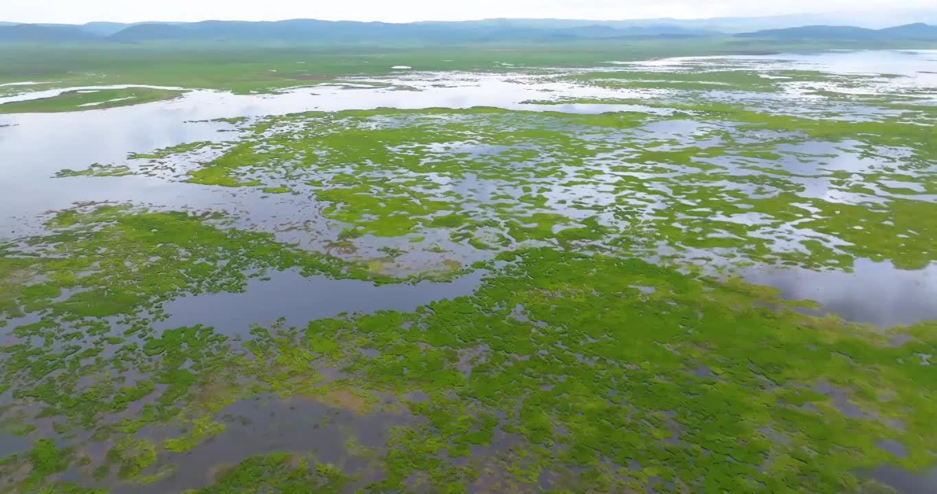 航拍夏季甘南碌曲县草原和湿地视频素材