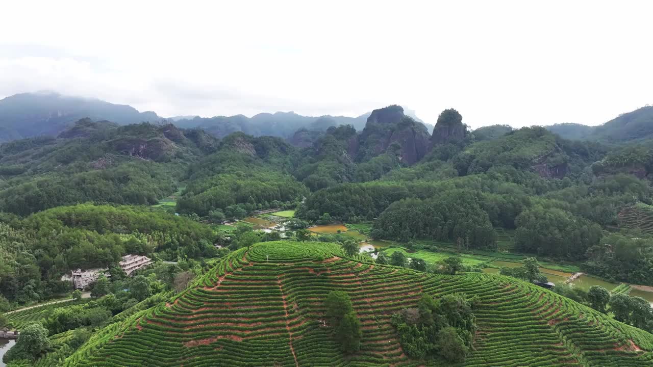 武夷山茶山梯田茶园视频素材