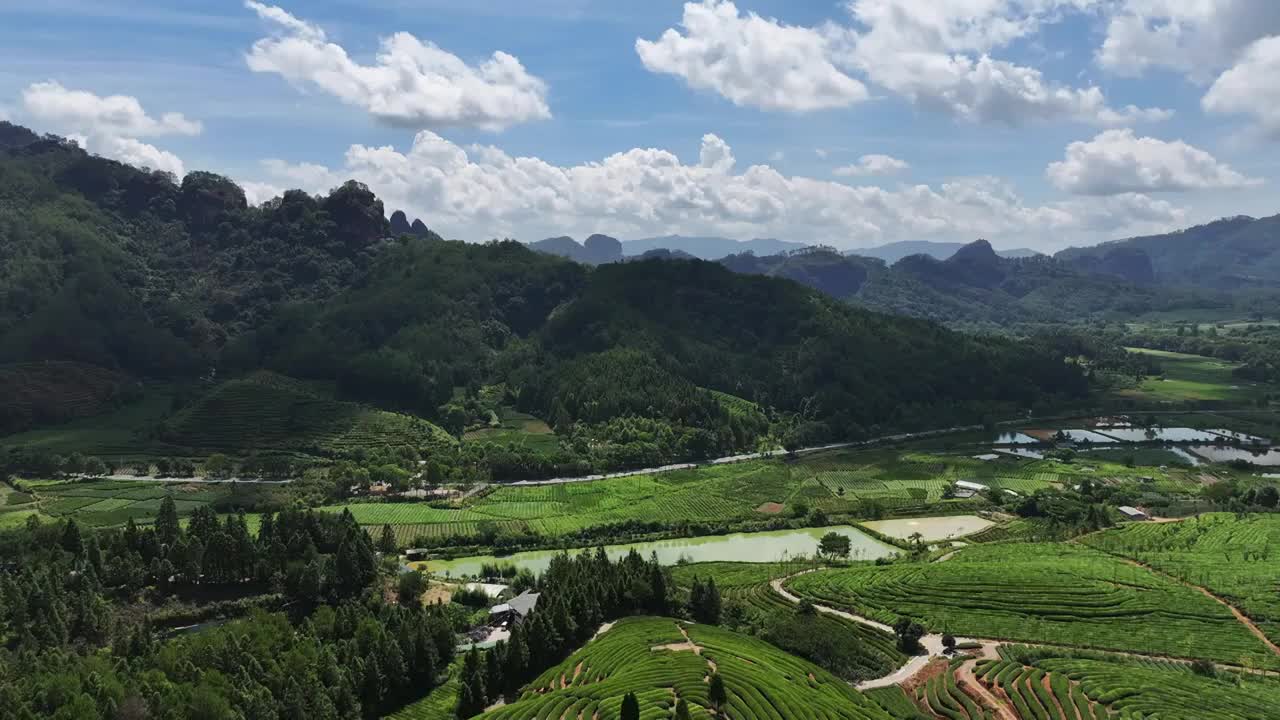 航拍武夷山绿色茶园 茶田视频素材