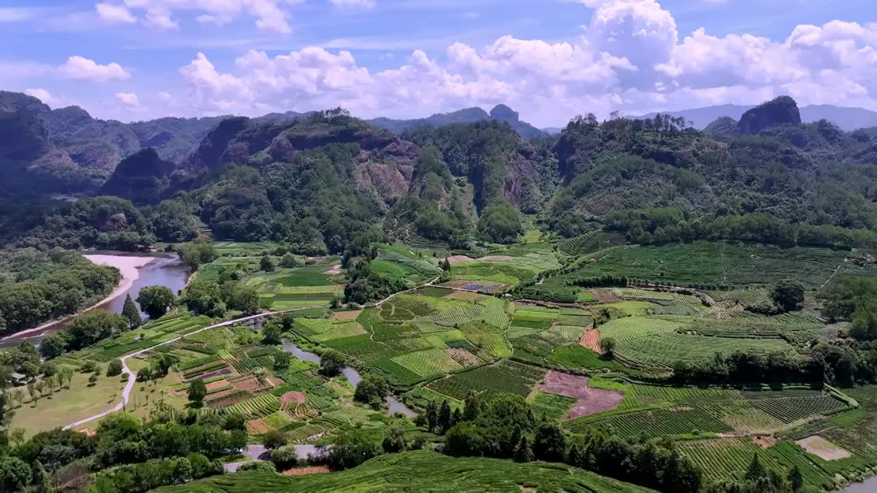 航拍武夷山绿色茶园 茶田视频素材