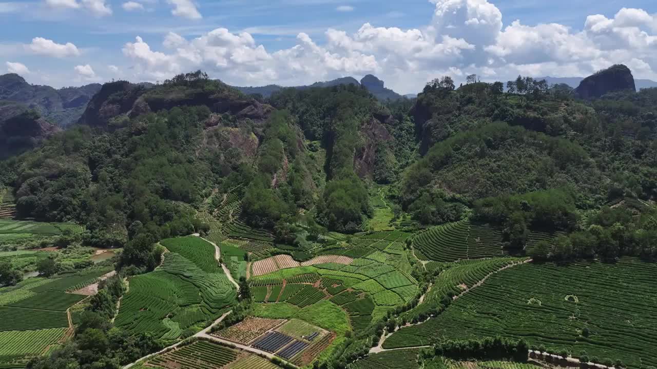 航拍武夷山绿色茶园 茶田视频素材