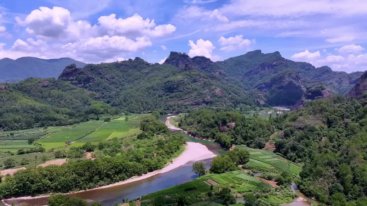 航拍武夷山绿色茶园 茶田视频素材