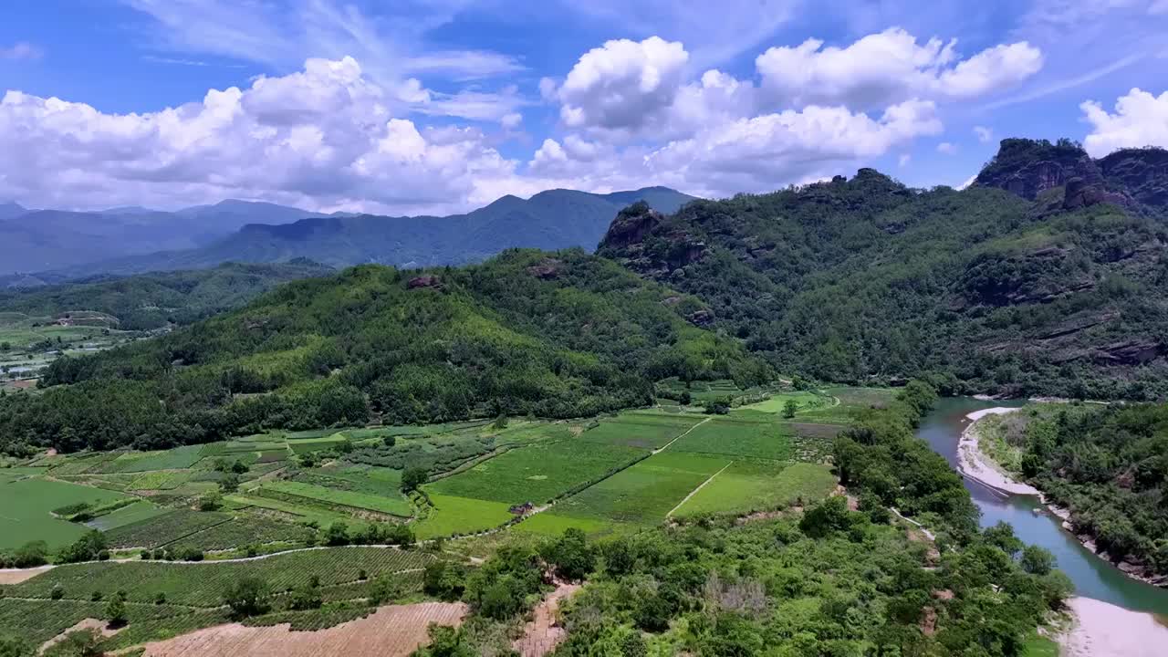 航拍武夷山绿色茶园 茶田视频素材