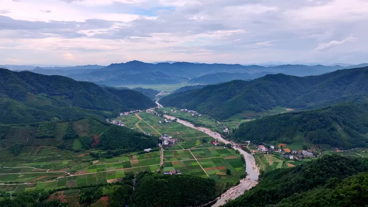 航拍武夷山绿色茶园 茶田视频素材