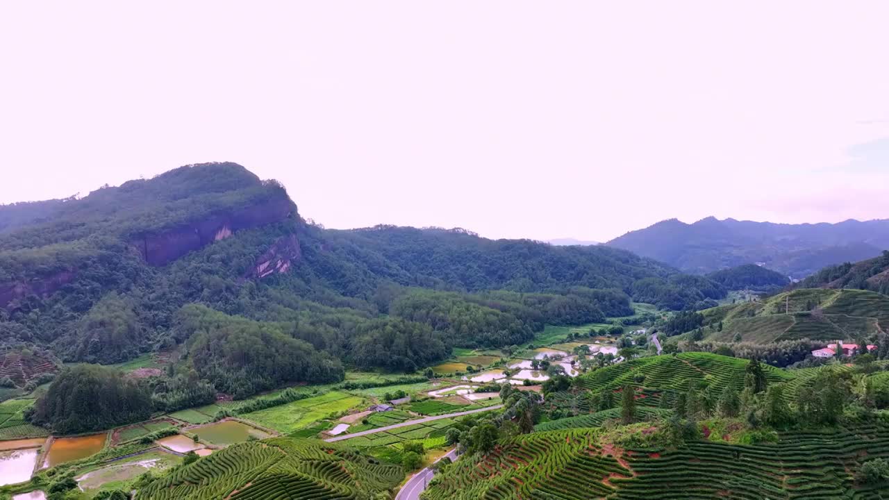 航拍武夷山绿色茶园 茶田视频素材