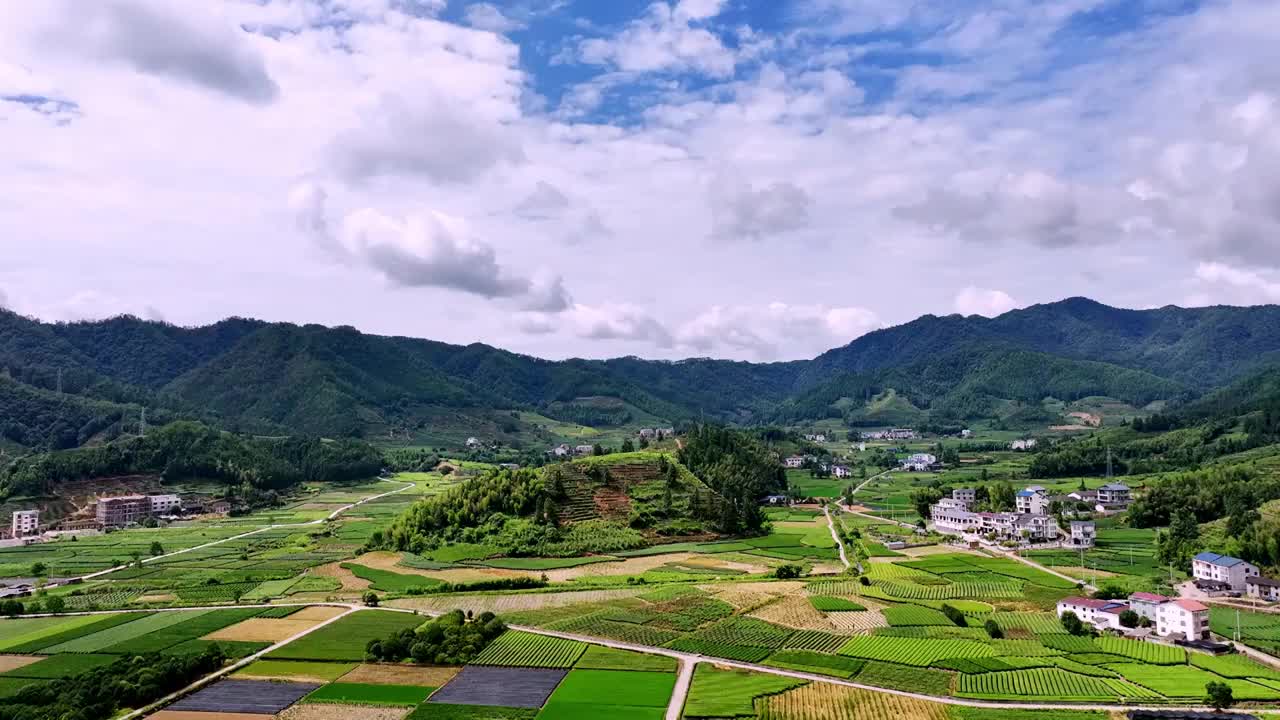 航拍武夷山绿色茶园 茶田视频素材