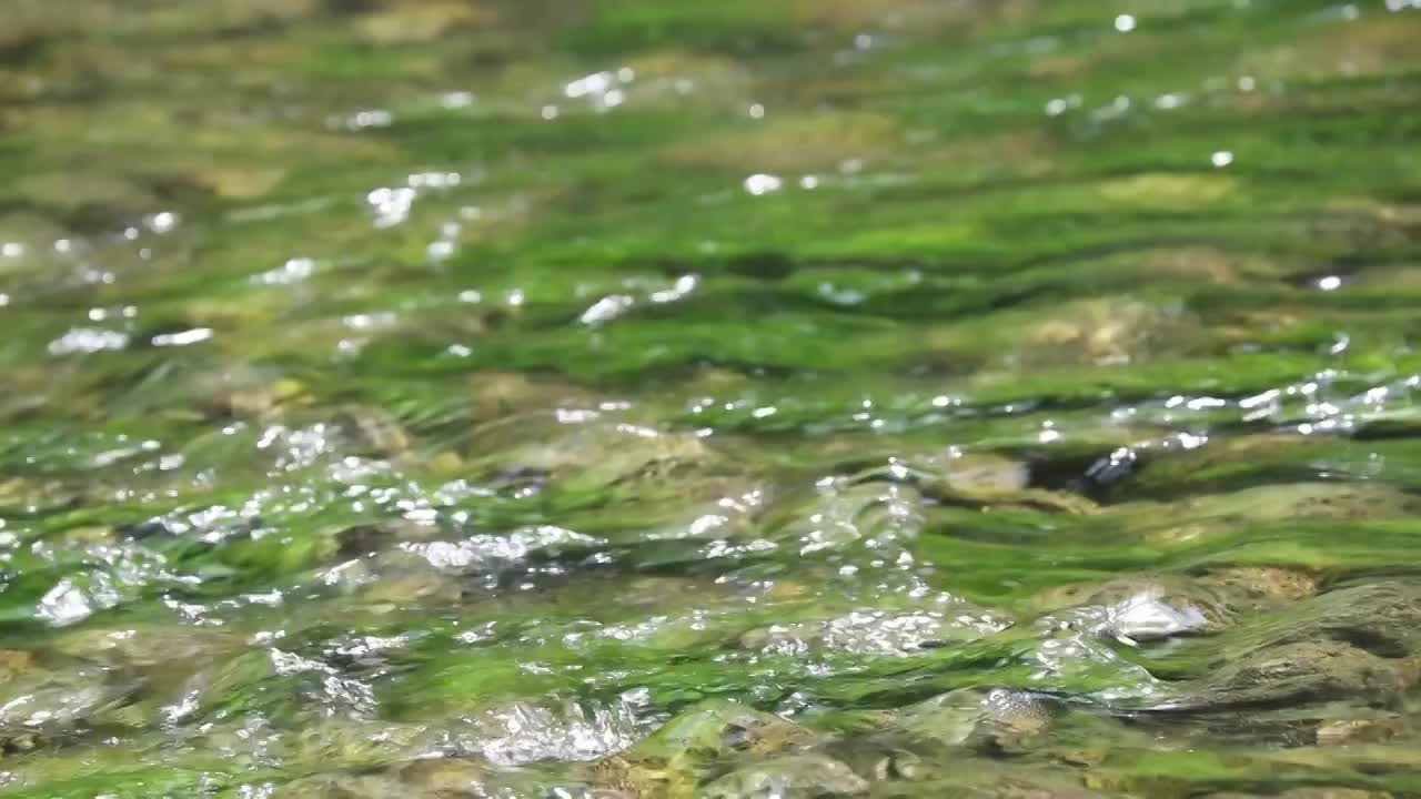 水面视频素材