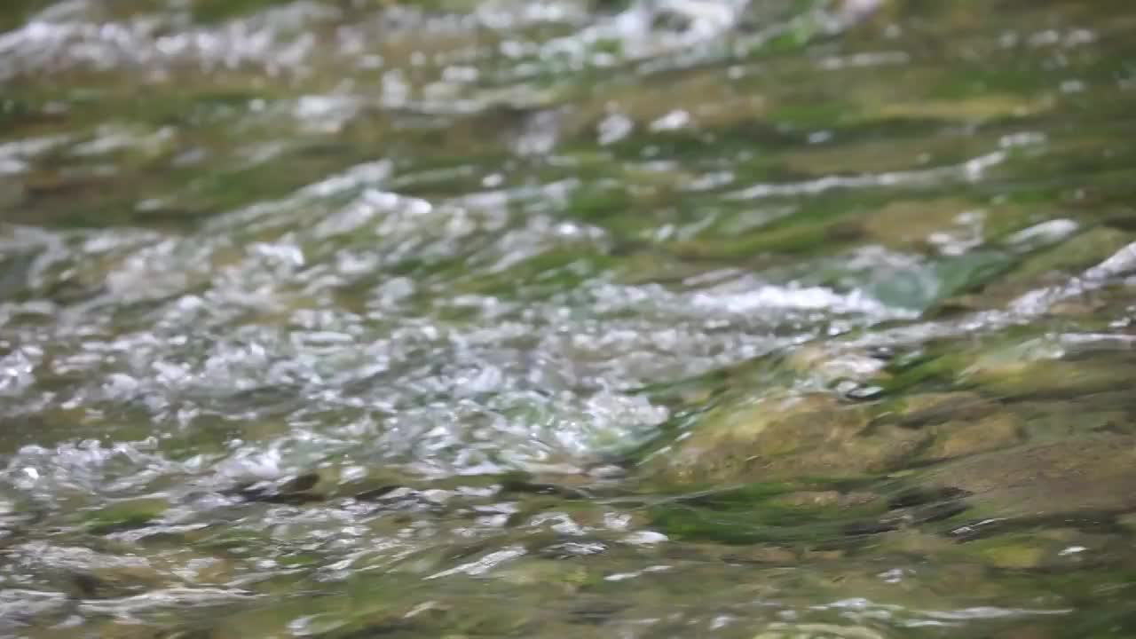 水面视频素材