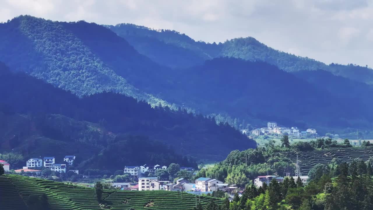 武夷山茶山梯田茶园视频素材