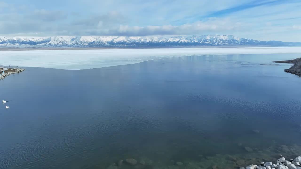 航拍冬季赛里木湖天鹅视频素材