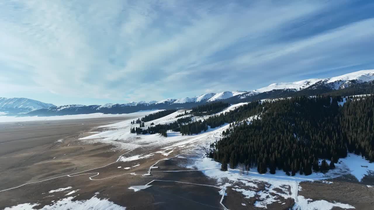 航拍冬季赛里木湖雪山森林风光视频素材