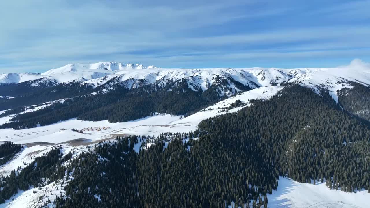 航拍冬季赛里木湖雪山森林风光视频素材