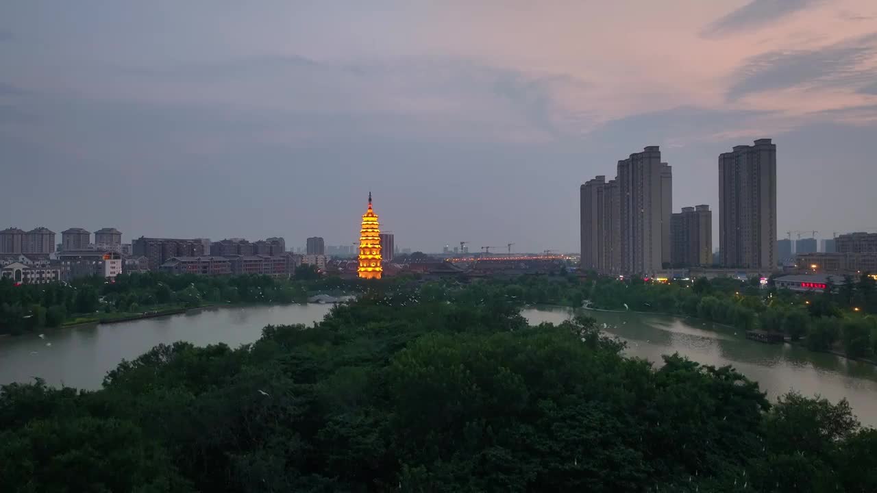 江苏涟水五岛湖万鸟归巢蔚为壮观视频素材