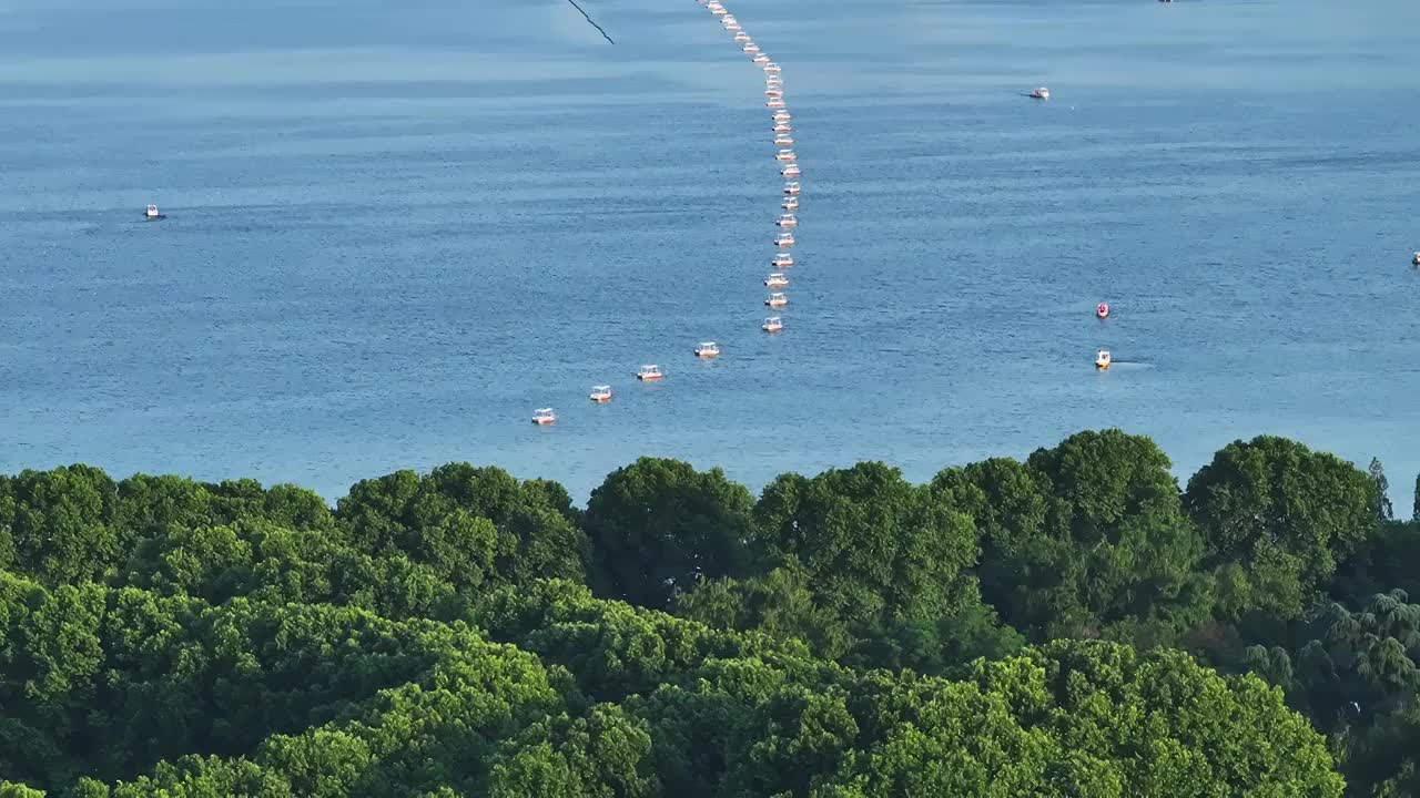 南京玄武湖上的树林与游船视频素材